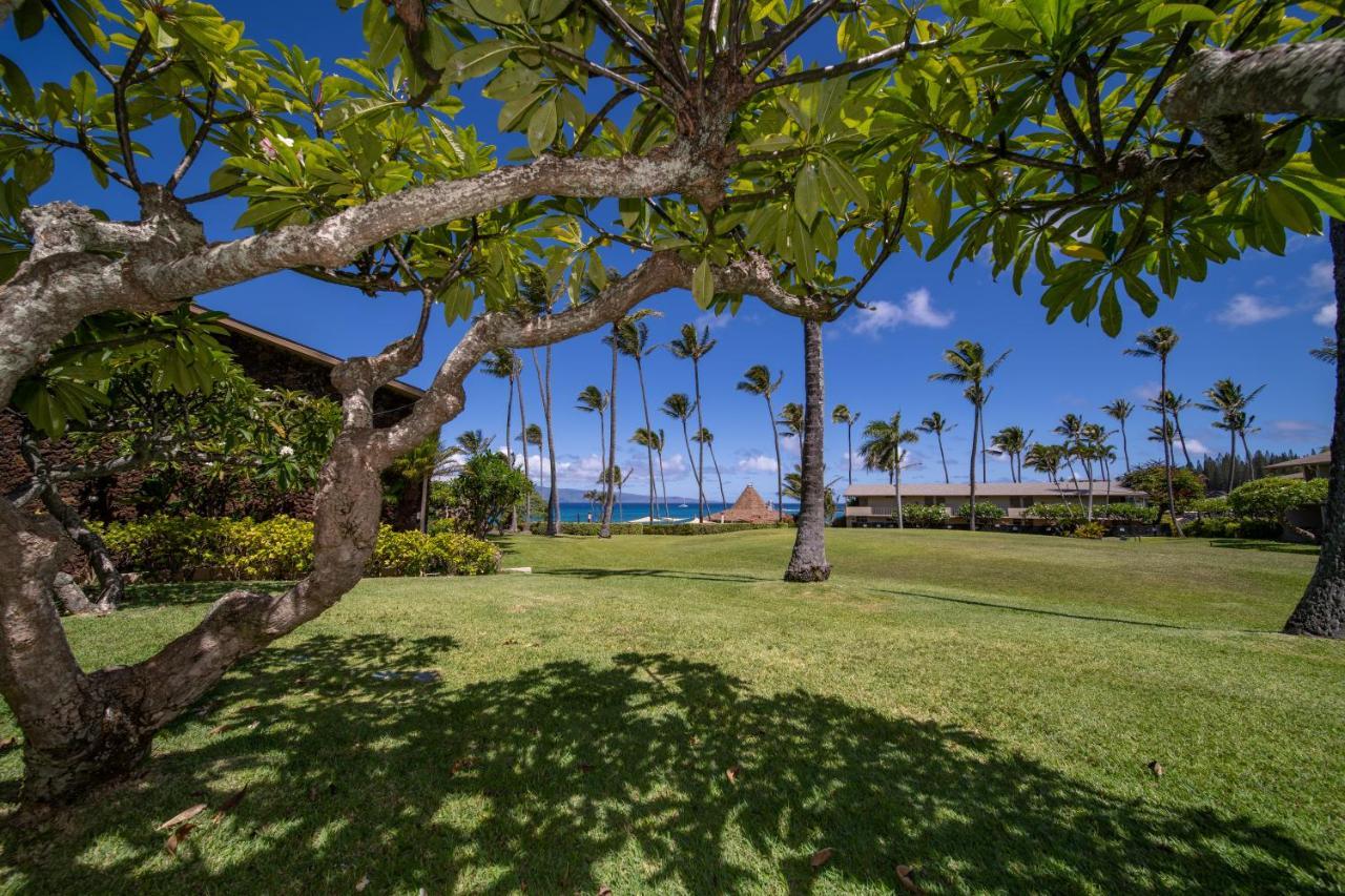 Napili Shores Maui By Outrigger - No Resort & Housekeeping Fees Lahaina Exterior photo