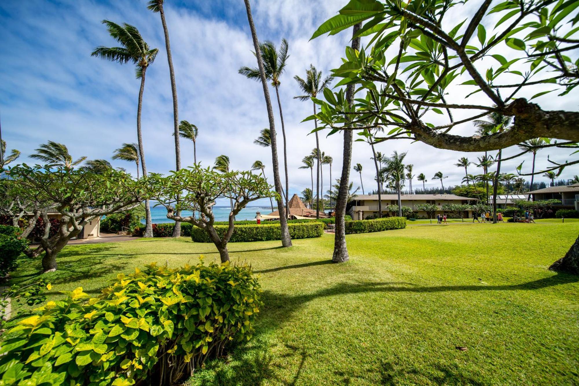 Napili Shores Maui By Outrigger - No Resort & Housekeeping Fees Lahaina Room photo
